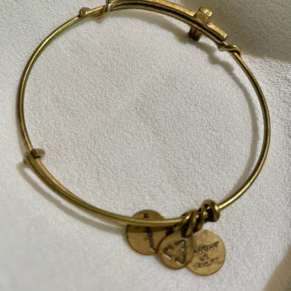 Lot of 14 ALEX & ANI meaningful bracelets, entire lot $121 (total value of $797) - Picture 8 of 14